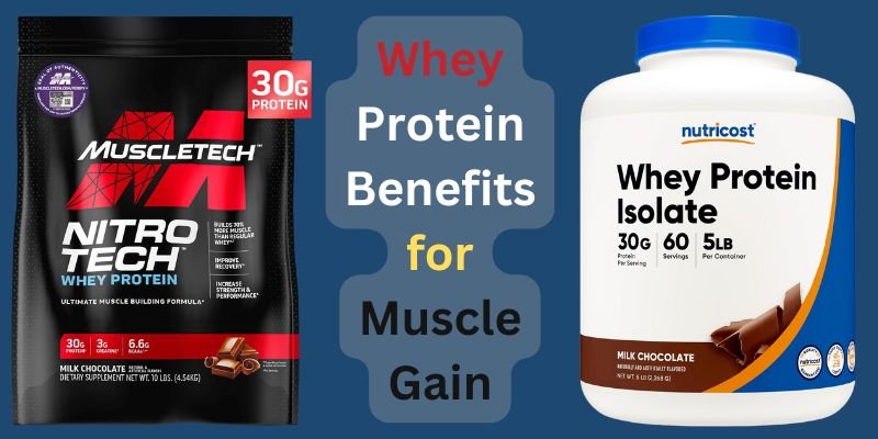 Whey Protein Benefits for Muscle Gain