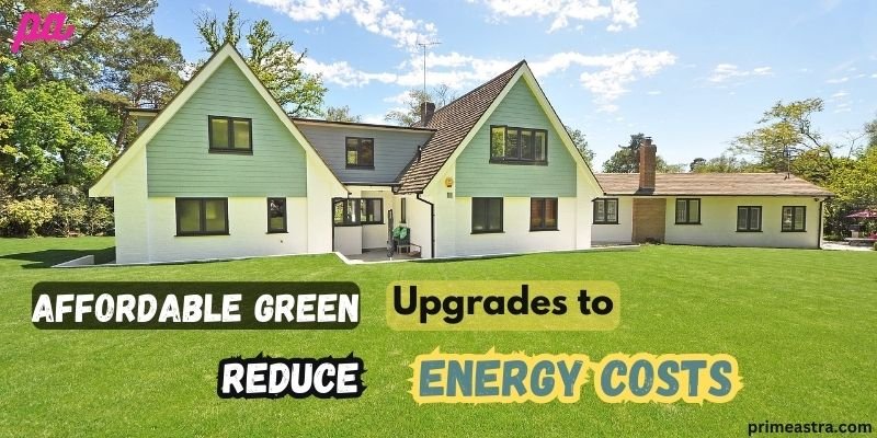 Affordable Green Upgrades to Reduce Energy Costs